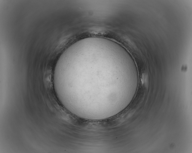 X0000091971396200709271358