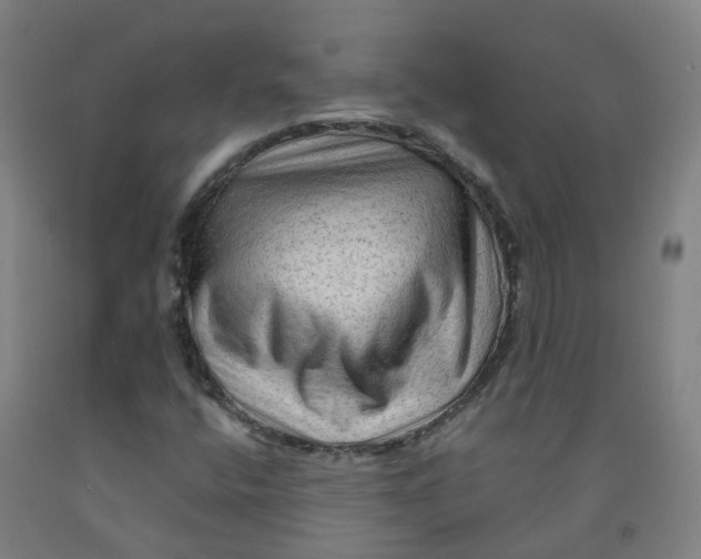 X0000091971400200709271358