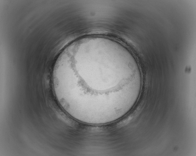 X0000091971401200709271358