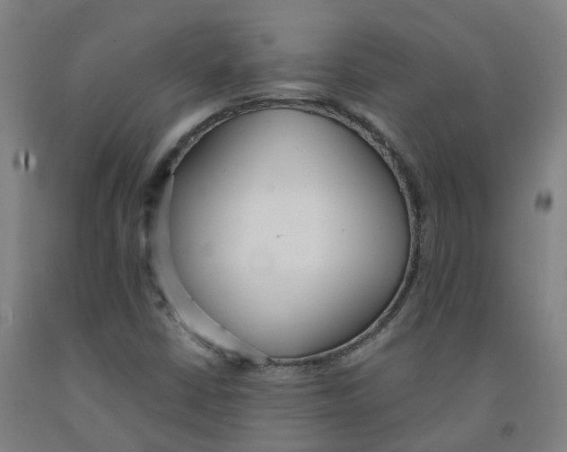 X0000091971402200709271358