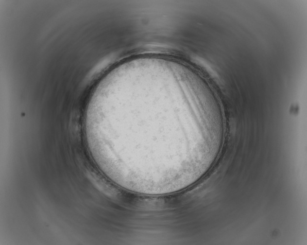X0000091971403200709271358