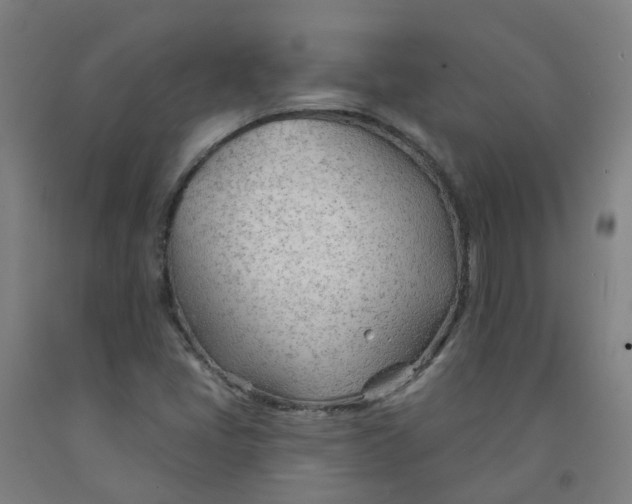 X0000091971405200709271358