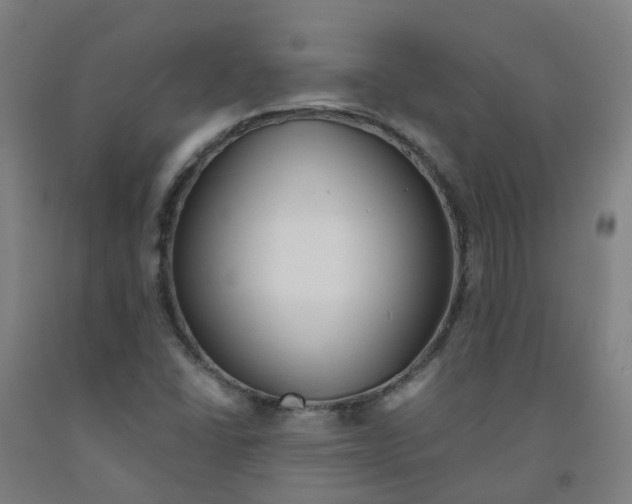 X0000091971406200709271358