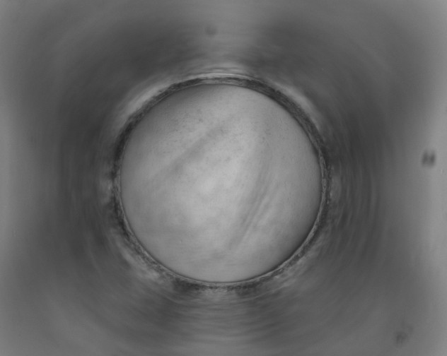 X0000091971407200709271358