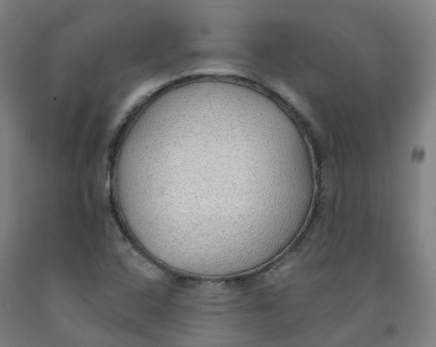 X0000091971408200709271358