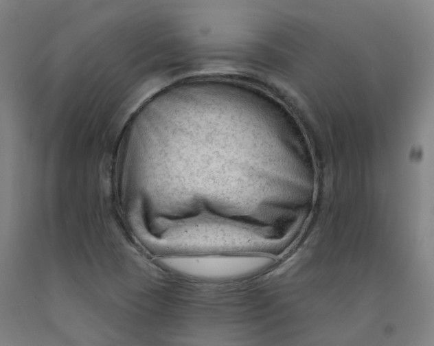 X0000091971409200709271358