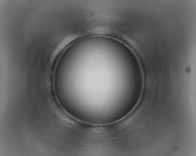 X0000091971410200709271358