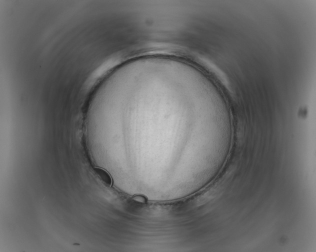 X0000091971411200709271358