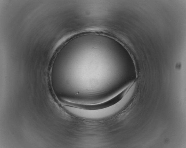 X0000091971412200709271358