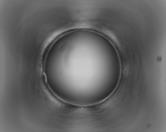 X0000091971414200709271358