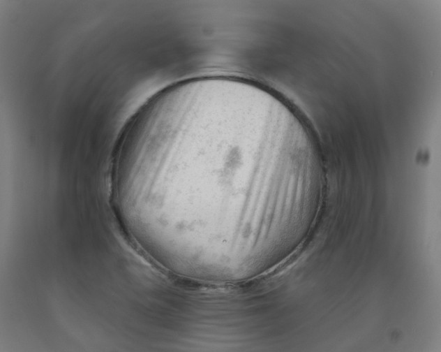 X0000091971415200709271358