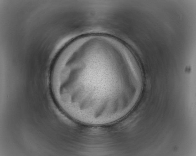 X0000091971416200709271358