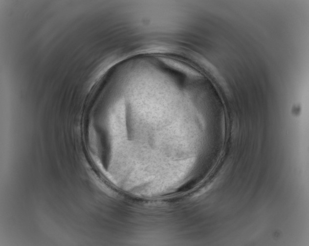X0000091971417200709271358