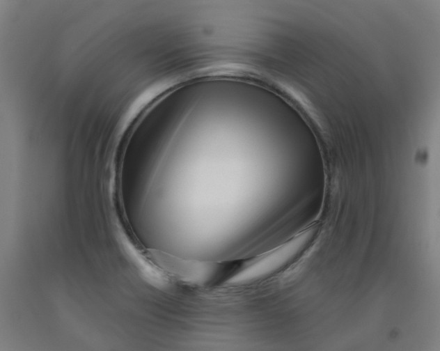 X0000091971418200709271358