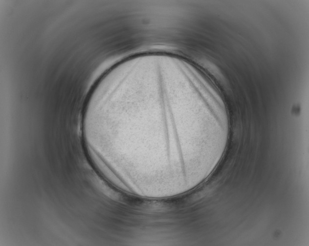 X0000091971420200709271358