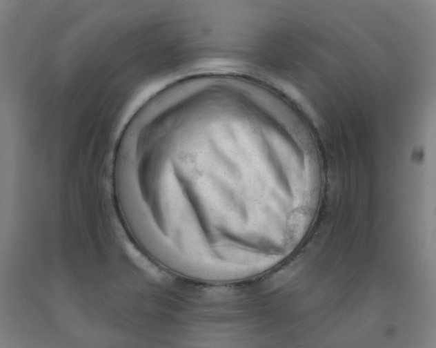 X0000091971421200709271358