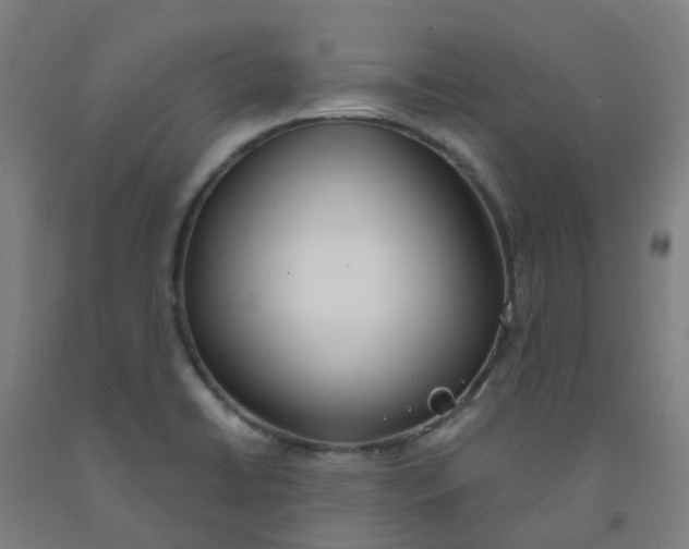 X0000091971422200709271358