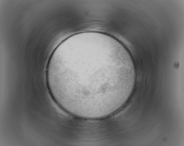X0000091971423200709271358