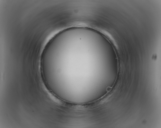 X0000091971424200709271358