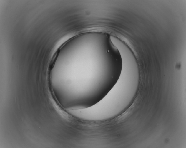 X0000091971426200709271358