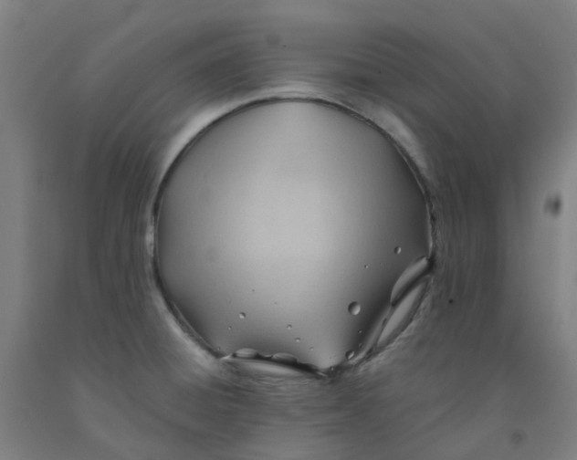 X0000091971428200709271358