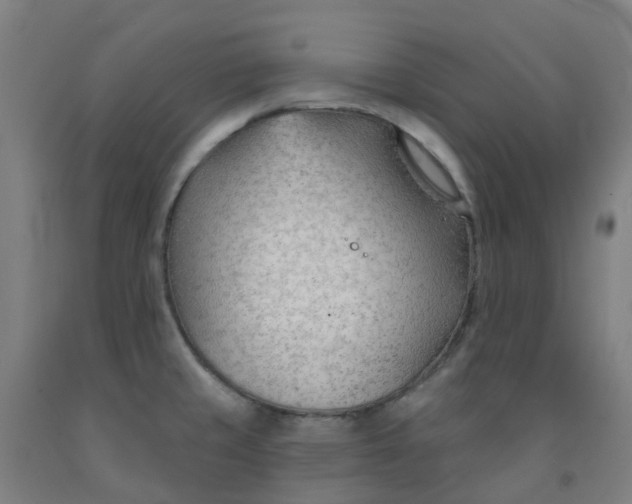 X0000091971429200709271358