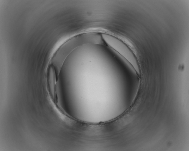 X0000091971430200709271358
