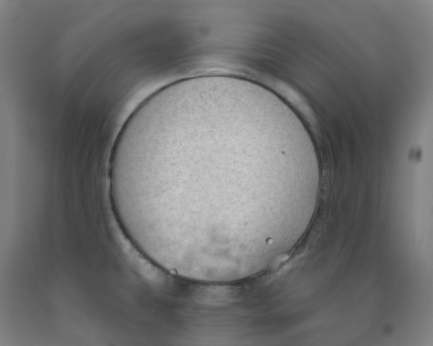 X0000091971431200709271358