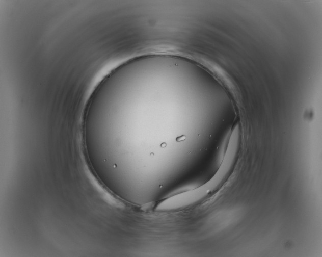 X0000091971432200709271358