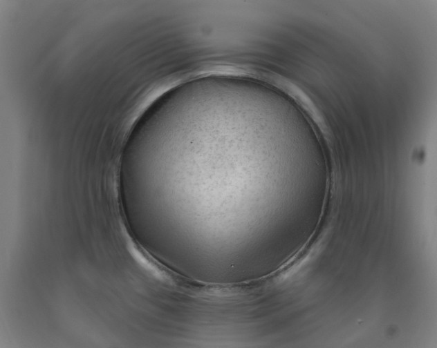 X0000091971433200709271358