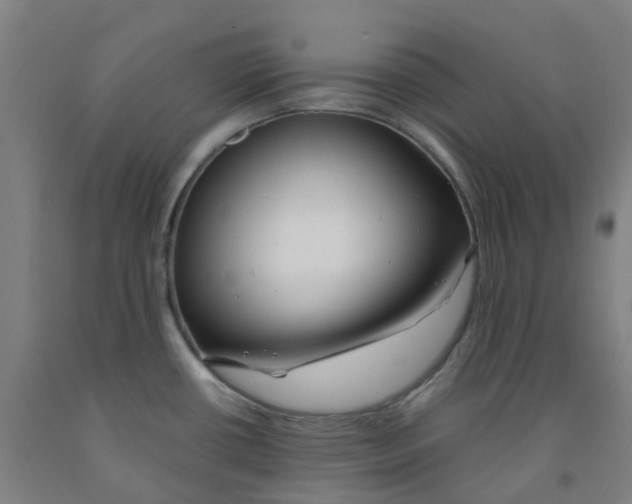 X0000091971434200709271358