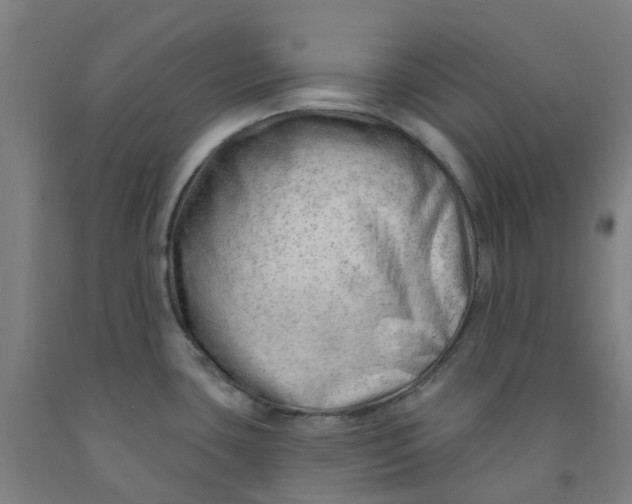 X0000091971435200709271358
