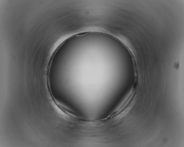 X0000091971438200709271358