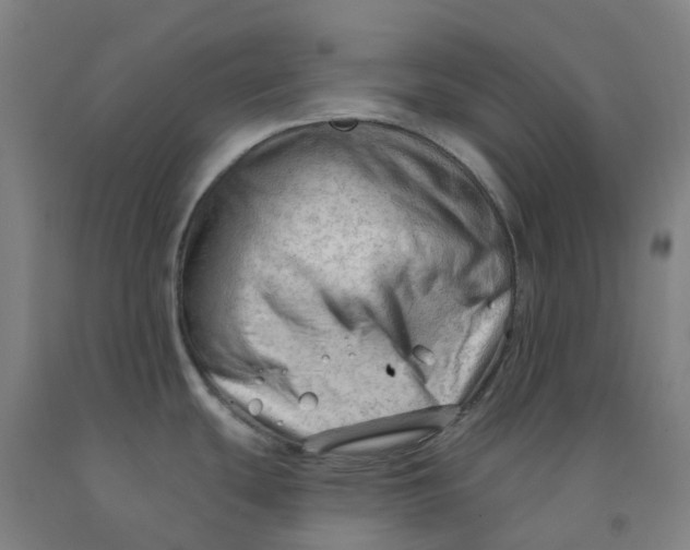 X0000091971439200709271358