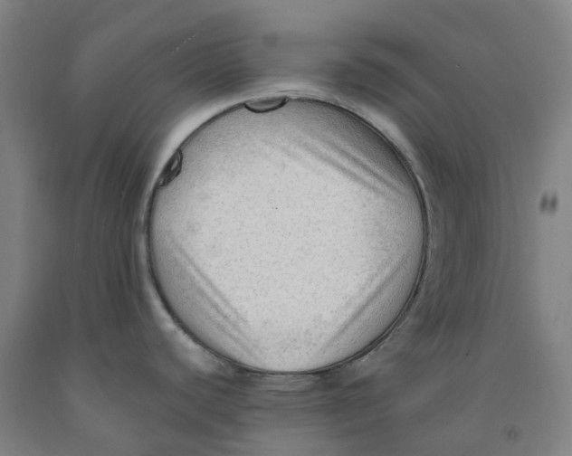 X0000091971440200709271358
