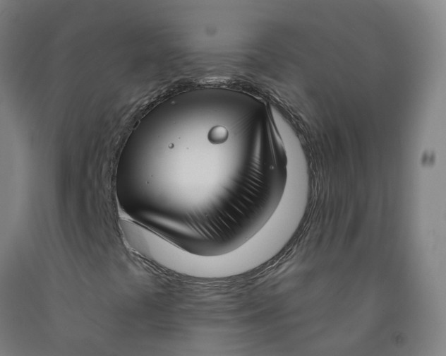 X0000091971441200709271358