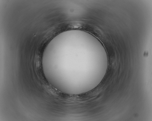 X0000091971442200709271358