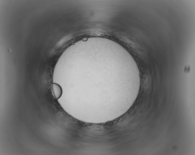 X0000091971446200709271358