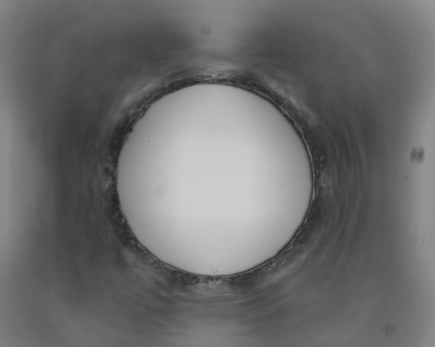 X0000091971447200709271358