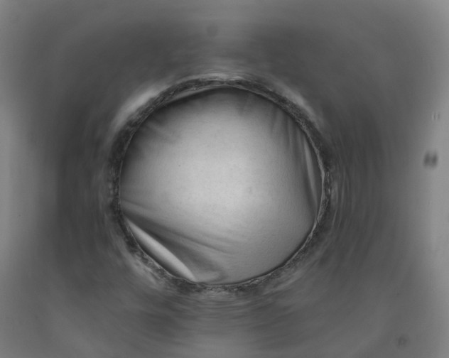 X0000091971448200709271358