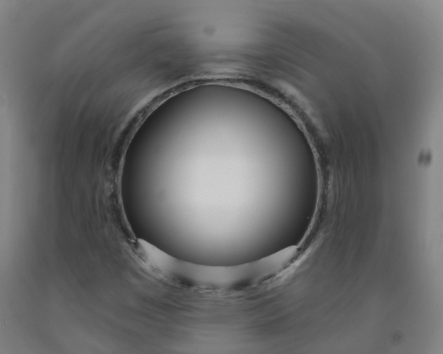 X0000091971449200709271358