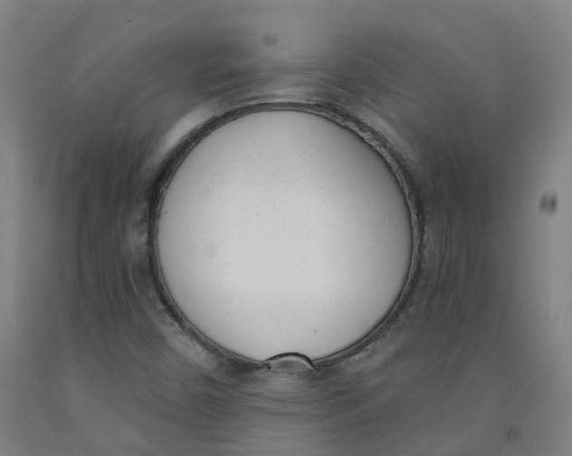 X0000091971450200709271358