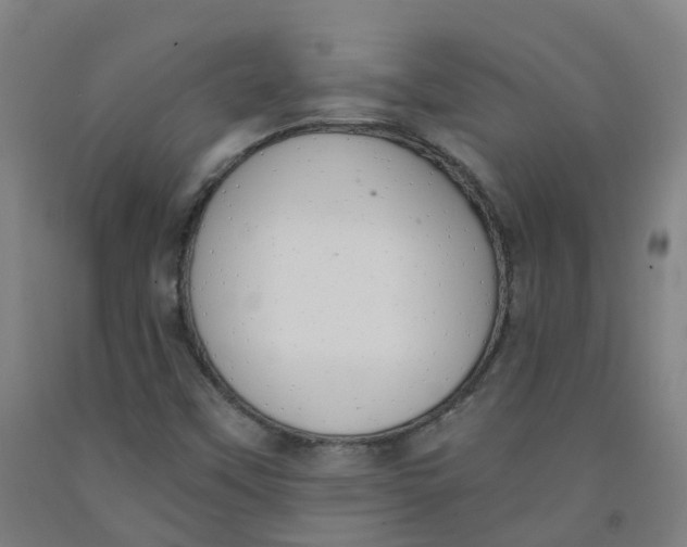 X0000091971451200709271358