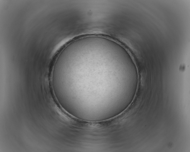 X0000091971452200709271358