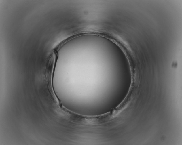 X0000091971453200709271358