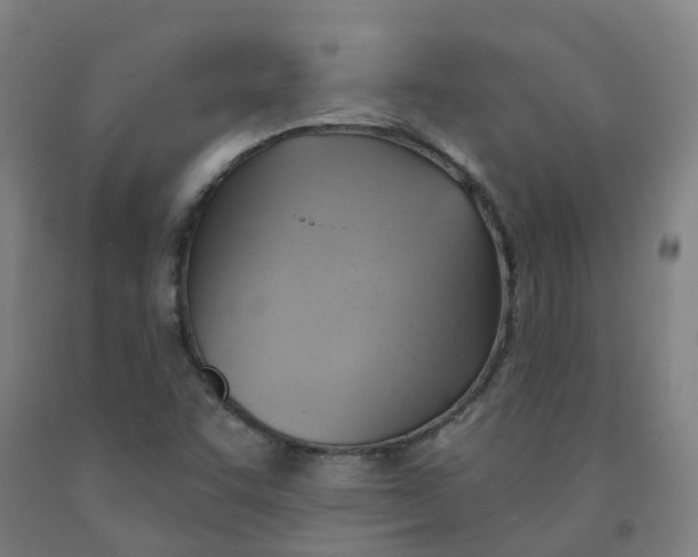 X0000091971455200709271358