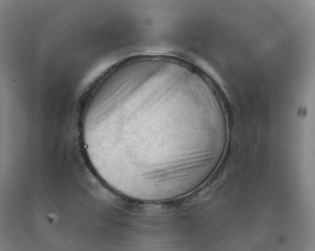 X0000091971456200709271357