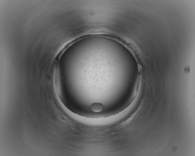 X0000091971457200709271357