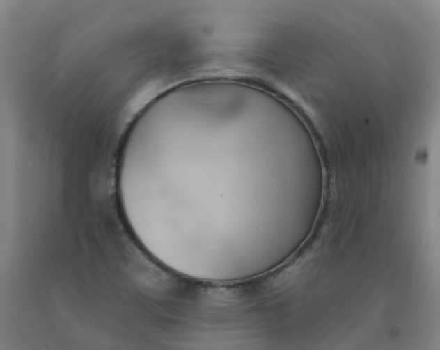 X0000091971459200709271357