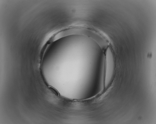 X0000091971461200709271357